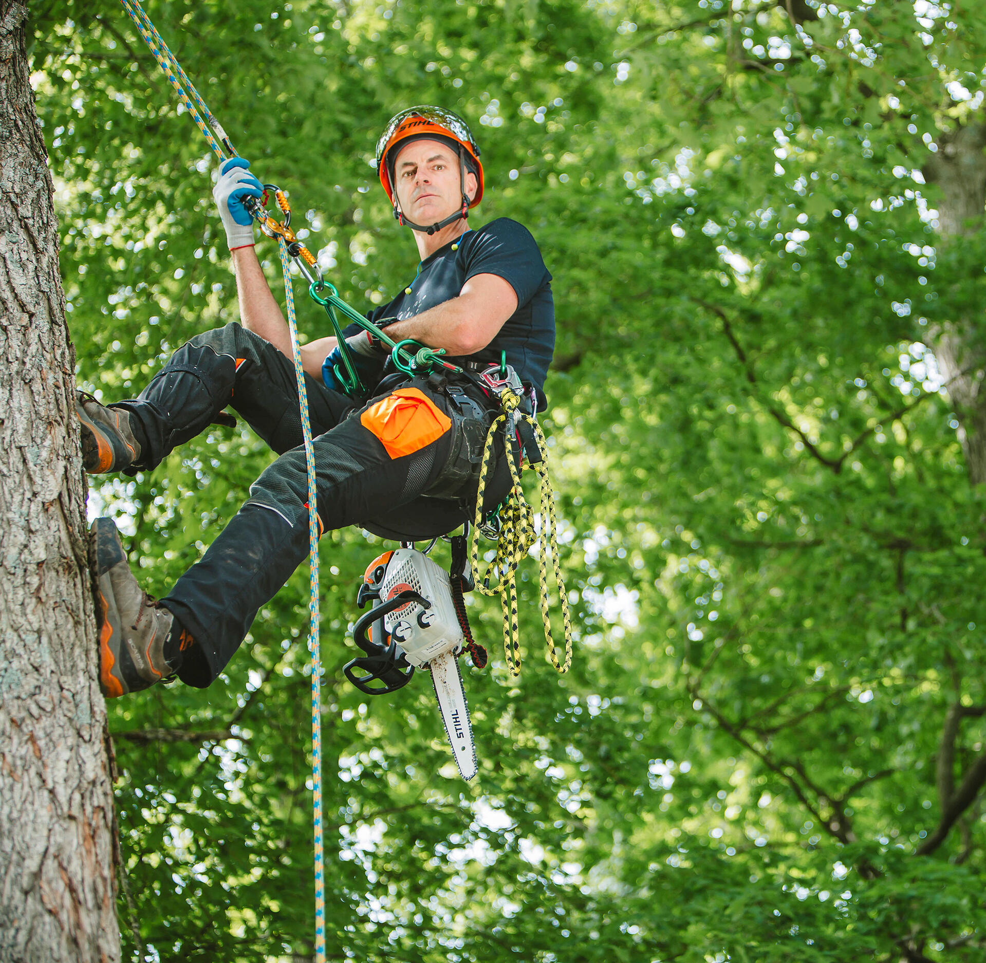tree service worker