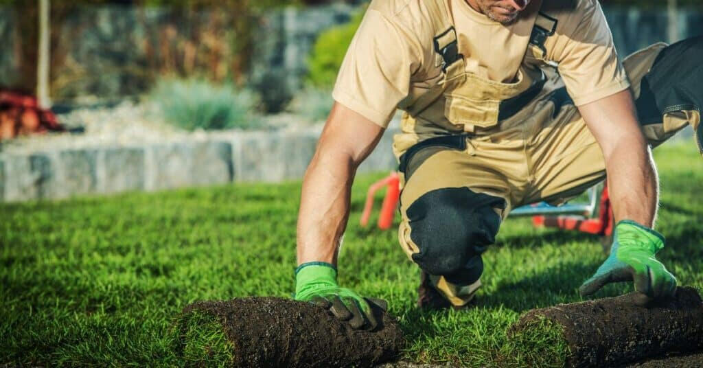 sod roll installaion